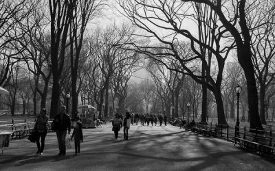 Carnaval em NY, Central Park, inverno sombrio e tão belo.